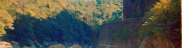 Image of a winding road through a forested gorge.